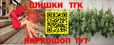 дмт Камень-на-Оби