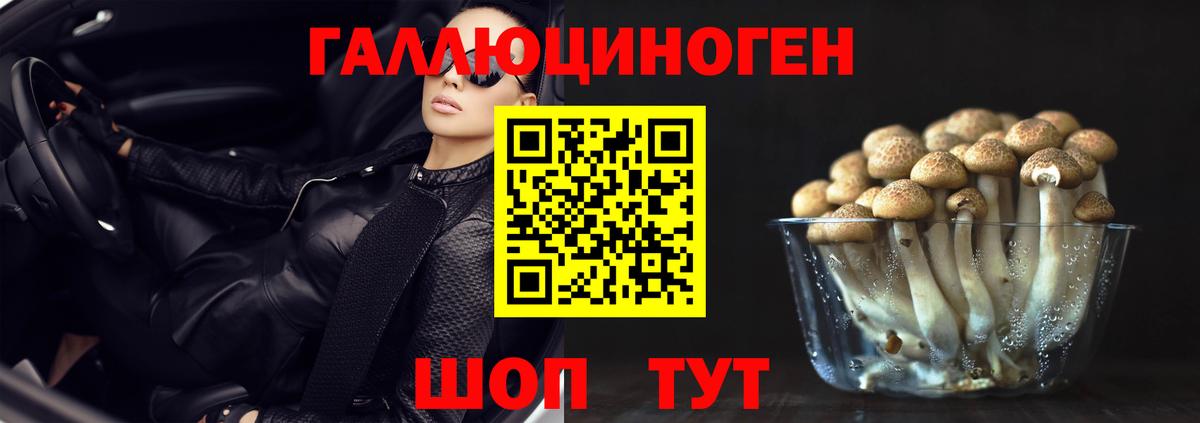 Белореченск  Галлюциногенные грибы Psilocybine cubensis  Вход с VPN 